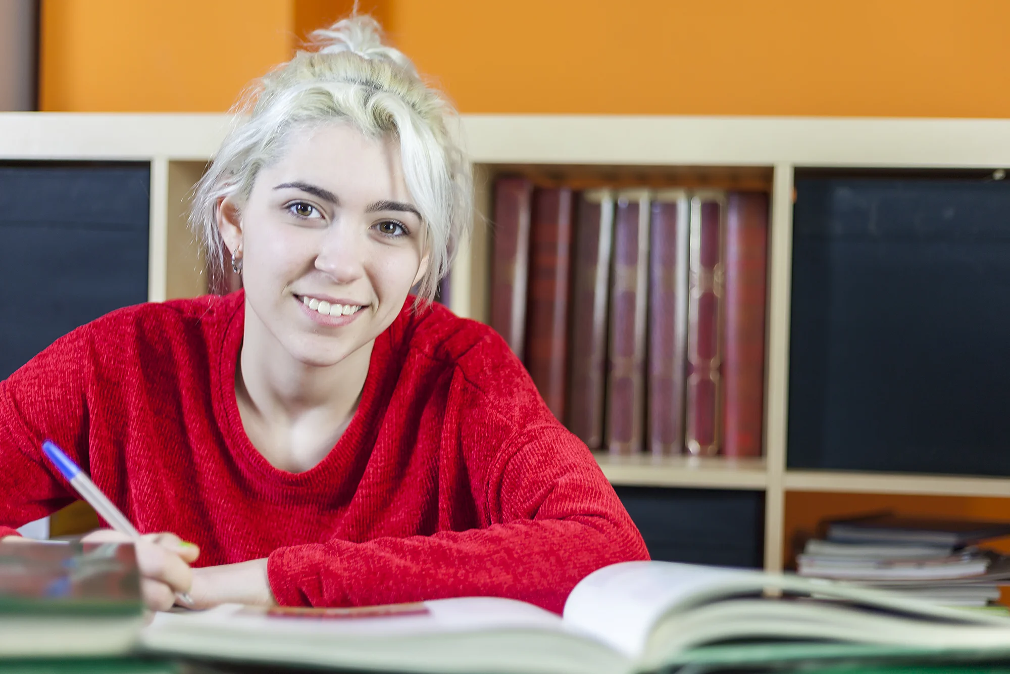 Student hard at work studying GCSEs