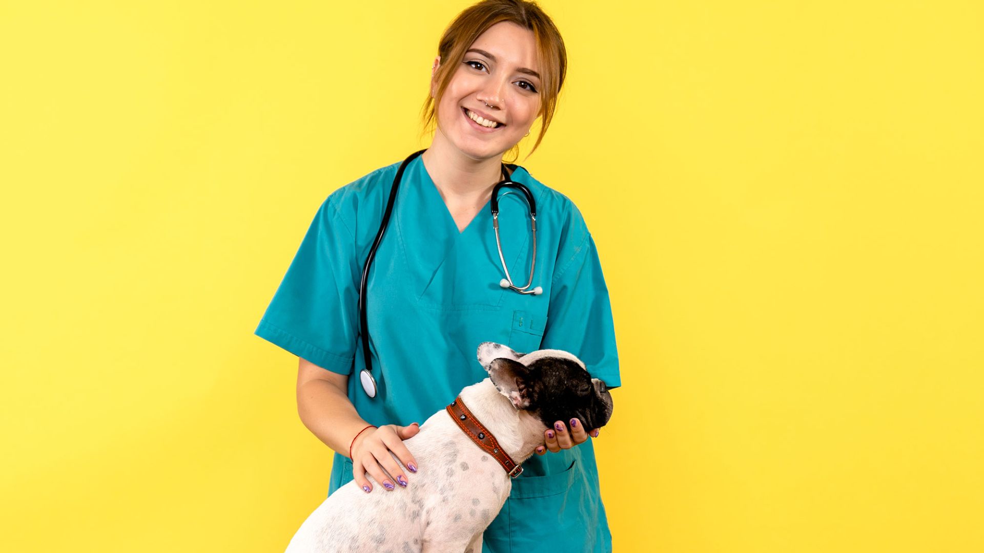 What A-levels do you need to be a vet? The Ultimate Guide 2025