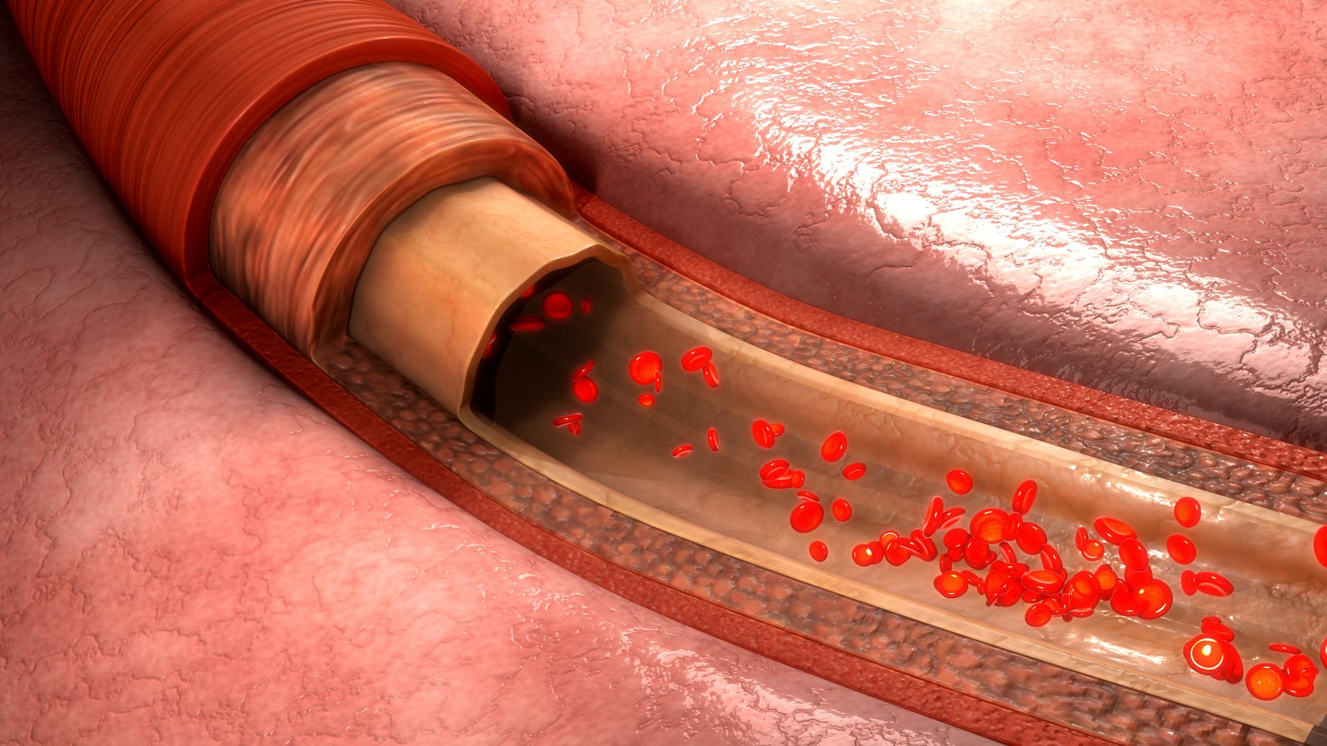 How Does Blood Transport Oxygen?